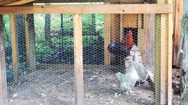 1252 W Erickson Road, Linwood, MI 48634