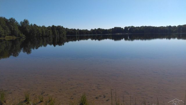 1252 W Erickson Road, Linwood, MI 48634