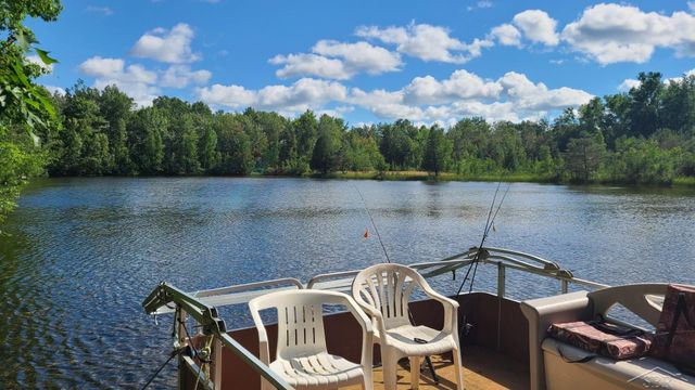 1252 W Erickson Road, Linwood, MI 48634