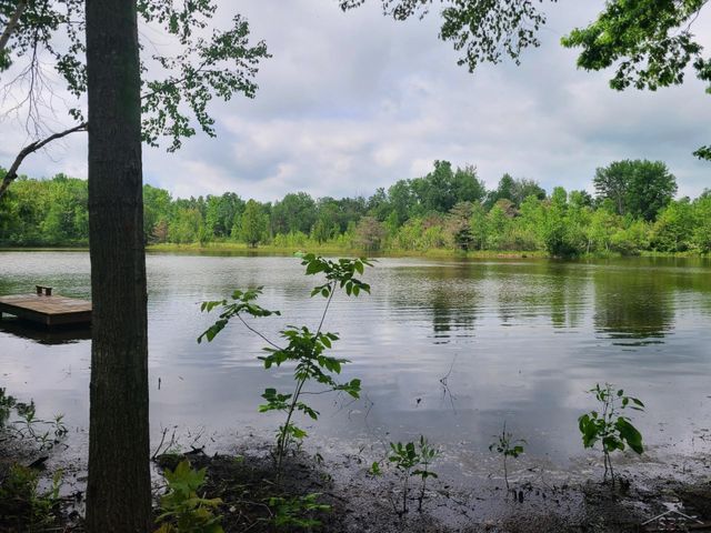 1252 W Erickson Road, Linwood, MI 48634