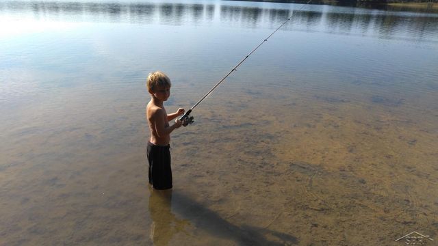 1252 W Erickson Road, Linwood, MI 48634