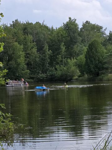 1252 W Erickson Road, Linwood, MI 48634