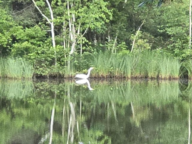 1252 W Erickson Road, Linwood, MI 48634