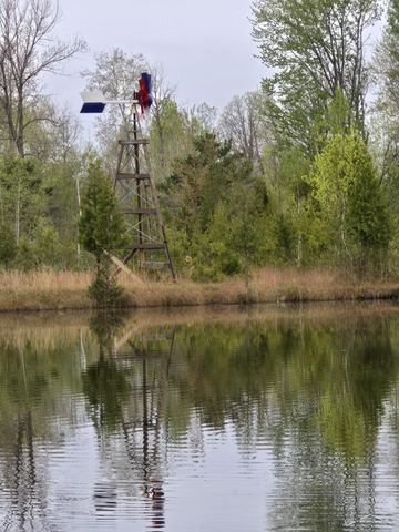 1252 W Erickson Road, Linwood, MI 48634