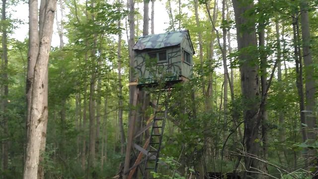 1252 W Erickson Road, Linwood, MI 48634