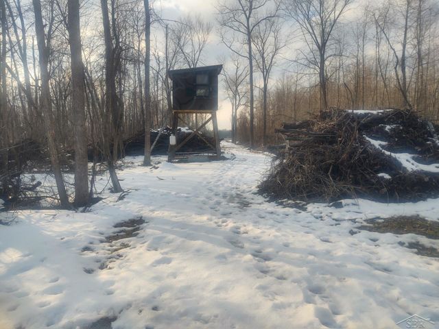 1252 W Erickson Road, Linwood, MI 48634