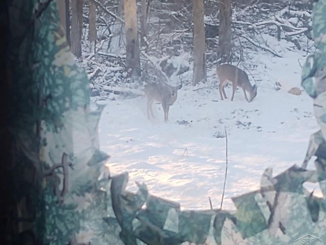 1252 W Erickson Road, Linwood, MI 48634