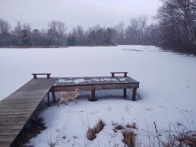 1252 W Erickson Road, Linwood, MI 48634