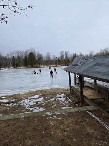 1252 W Erickson Road, Linwood, MI 48634