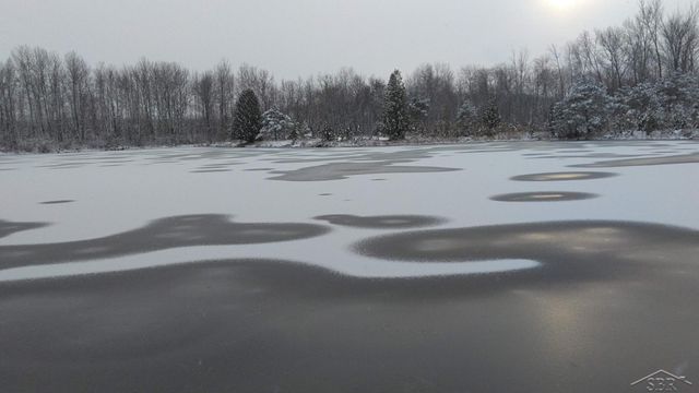 1252 W Erickson Road, Linwood, MI 48634