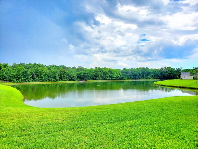 25644 FRITH STREET, Land O Lakes, FL 34639