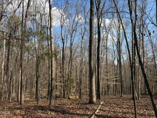 0 Birch Creek Farm Lane, Franklinton, NC 27525