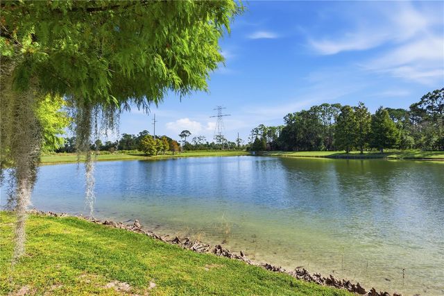 7125 BEEK STREET, Windermere, FL 34786