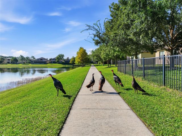 7125 BEEK STREET, Windermere, FL 34786