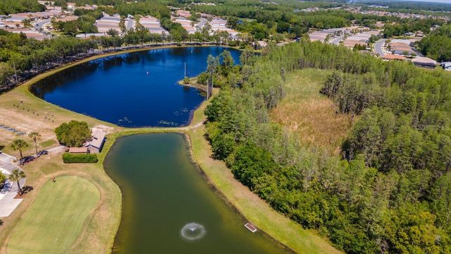 7308 CLEOPATRA DRIVE, Land O Lakes, FL 34637