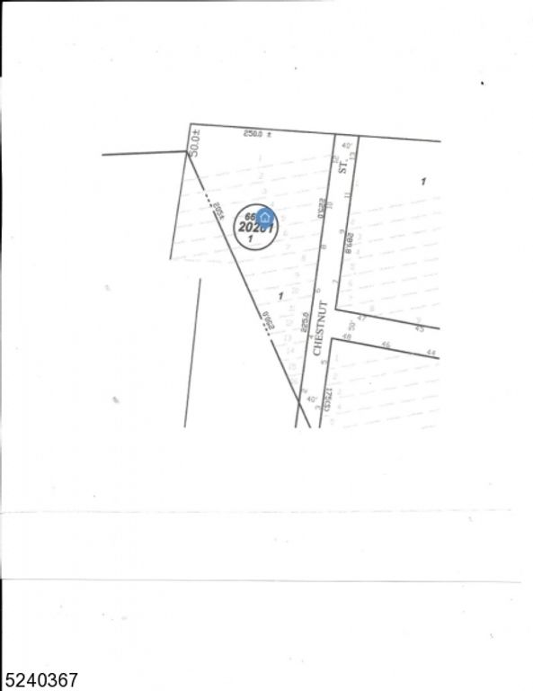 4 Chestnut St, Hopatcong Boro, NJ 07874