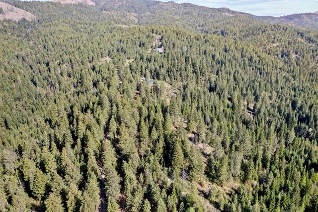 12703 S Alpine Fern Ln, Rockford, WA 99030