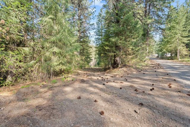 12703 S Alpine Fern Ln, Rockford, WA 99030