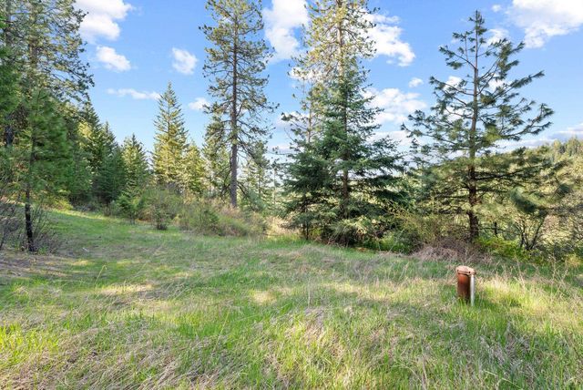 12703 S Alpine Fern Ln, Rockford, WA 99030