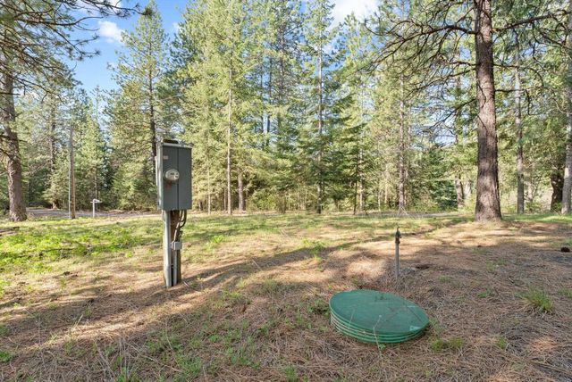 12703 S Alpine Fern Ln, Rockford, WA 99030