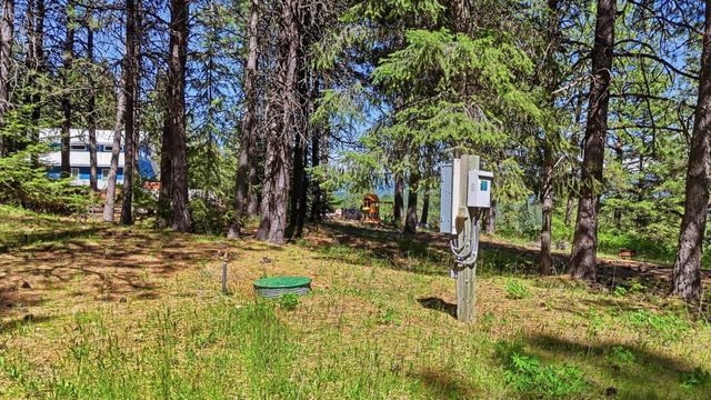 12703 S Alpine Fern Ln, Rockford, WA 99030