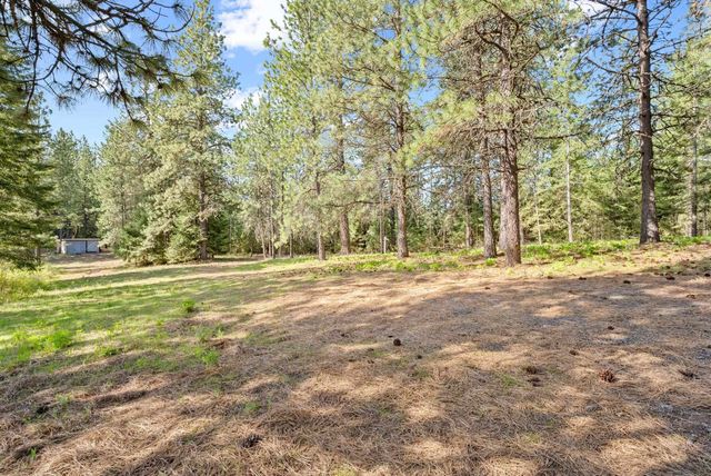 12703 S Alpine Fern Ln, Rockford, WA 99030