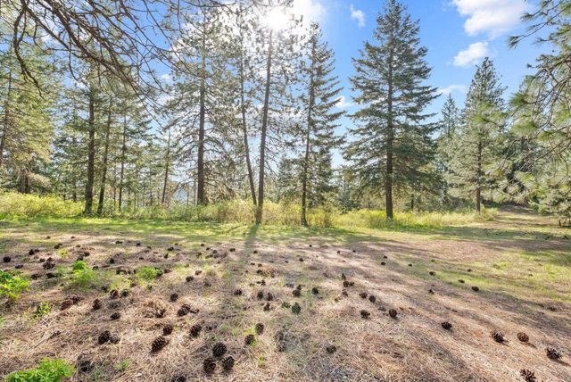 12703 S Alpine Fern Ln, Rockford, WA 99030