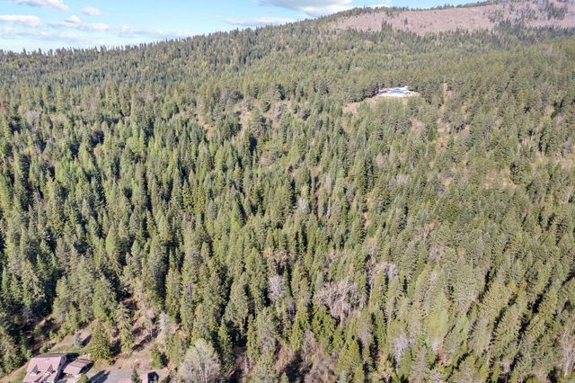 12703 S Alpine Fern Ln, Rockford, WA 99030