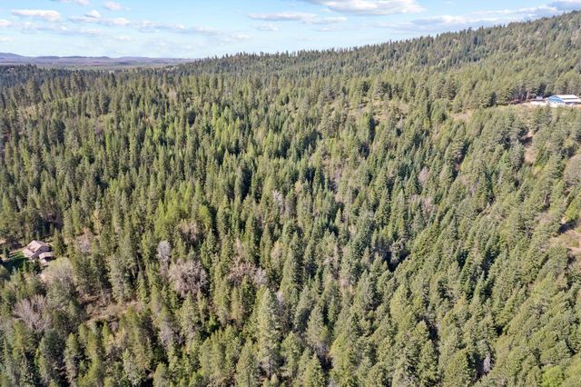 12703 S Alpine Fern Ln, Rockford, WA 99030