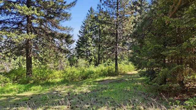 12703 S Alpine Fern Ln, Rockford, WA 99030