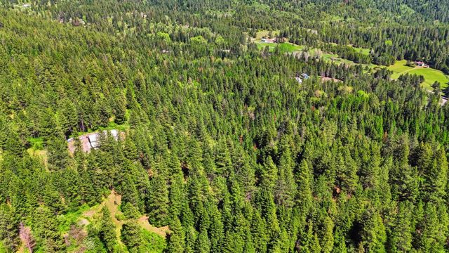 12703 S Alpine Fern Ln, Rockford, WA 99030