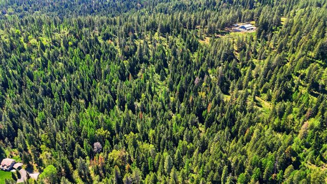 12703 S Alpine Fern Ln, Rockford, WA 99030