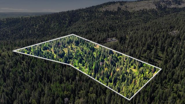 12703 S Alpine Fern Ln, Rockford, WA 99030