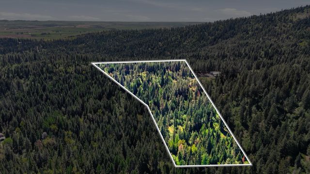 12703 S Alpine Fern Ln, Rockford, WA 99030