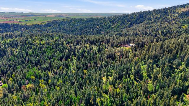12703 S Alpine Fern Ln, Rockford, WA 99030