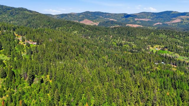 12703 S Alpine Fern Ln, Rockford, WA 99030