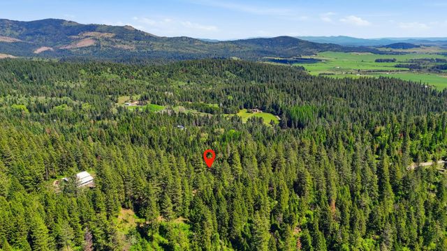 12703 S Alpine Fern Ln, Rockford, WA 99030