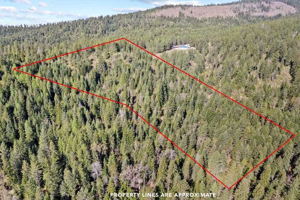 12703 S Alpine Fern Ln, Rockford, WA 99030