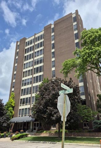 20 Chestnut Street, Wyandotte, MI 48192