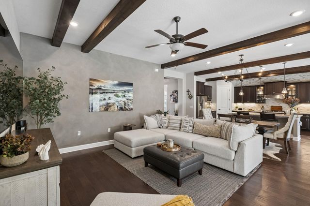 117 Dashing Sycamore ST, San Marcos, TX 78666