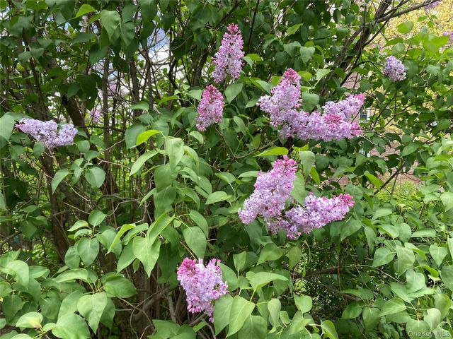 300 S Broadway 3D, Tarrytown, NY 10591