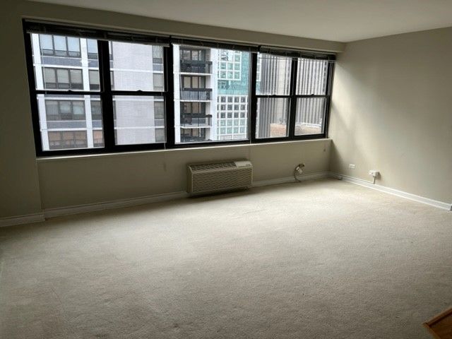 850 N DeWitt Place 22F, Chicago, IL 60611