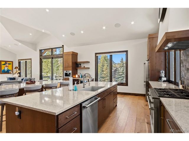 110 Windflower Ln, Frisco, CO 80443