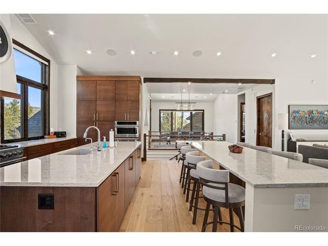 110 Windflower Ln, Frisco, CO 80443