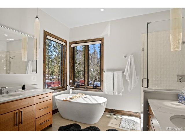 110 Windflower Ln, Frisco, CO 80443