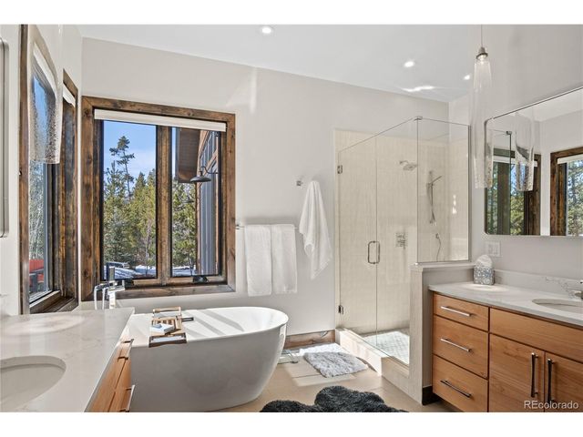 110 Windflower Ln, Frisco, CO 80443