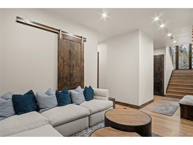 110 Windflower Ln, Frisco, CO 80443