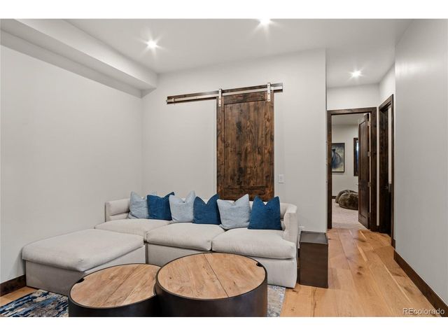 110 Windflower Ln, Frisco, CO 80443