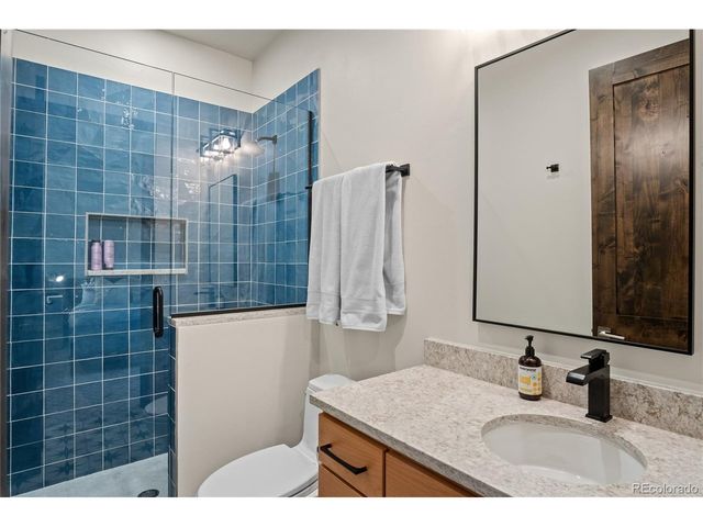 110 Windflower Ln, Frisco, CO 80443