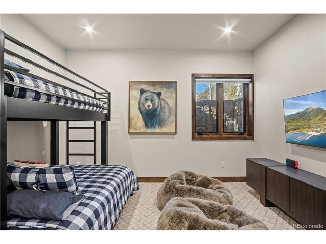 110 Windflower Ln, Frisco, CO 80443